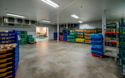 Inside the Icebox: Exploring the World of Refrigerated Warehouses