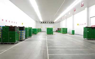 Factors to Consider When Choosing a Cold Storage Warehouse