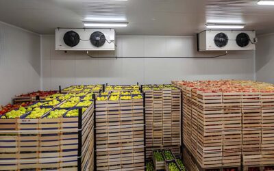 A Guide to Shipping Fresh Fruits and Vegetables Under Refrigeration