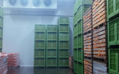 The Importance of Proper Temperature Control in Cold Storage Warehousing