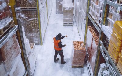 What Are the Environmental Impacts of Frozen Food Delivery?