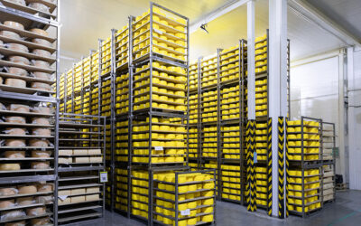 Cold Storage Warehouse Temperatures: How to Ensure Optimal Conditions for Your Goods